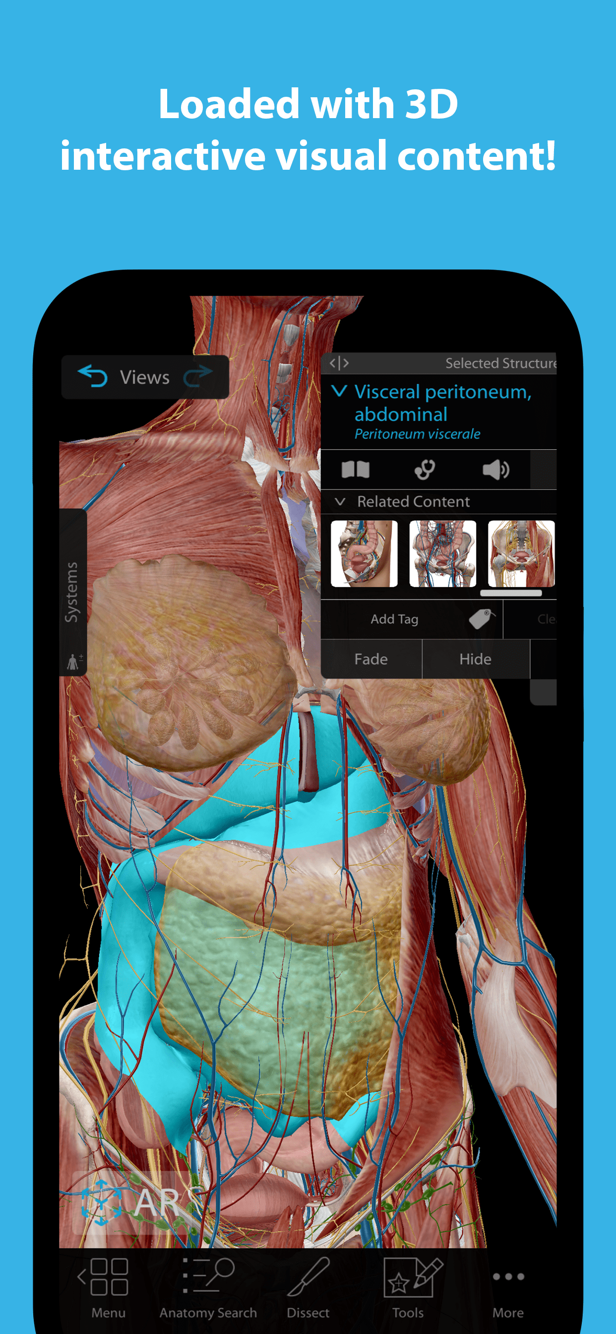 Human-Anatomy-Atlas-2023-4.png